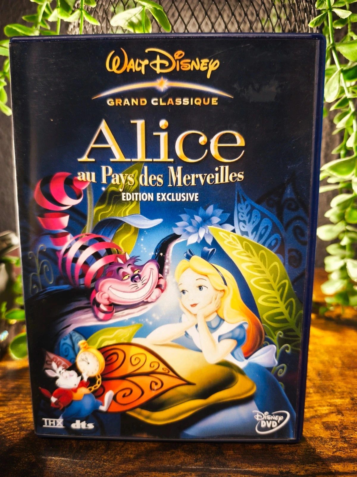 Alice au pays des merveilles